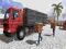 Žaidimas Asian offroad cargo truck driver internete