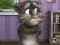 Žaidimas Talking Tom Cat 2 internete