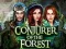 Žaidimas Conjurer Of The Forest internete