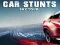 Žaidimas Car Stunts Sky Tour internete