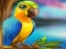 Žaidimas Little Parrot Escape internete