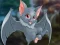 Žaidimas Little Flying Bat Escape internete