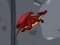 Žaidimas Dragon Domination internete