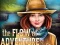 Žaidimas The Flow of Adventure internete