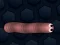 Žaidimas Math Slither internete