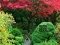 Žaidimas Maple Leaf Garden Escape internete