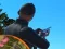 Žaidimas Shadow Hunter internete