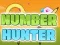 Žaidimas Number Hunter internete