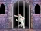 Žaidimas Victory Rabbit Escape internete