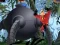 Žaidimas The Incredibles - Save the Day internete