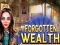 Žaidimas Forgotten Wealth internete