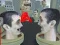 Žaidimas 2 Player: Skibidi Toilet Fight internete