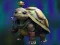 Žaidimas Isolated Turtle Escape internete