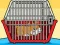 Žaidimas Rescue The Hamster From Cage internete