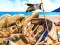 Žaidimas Pirate Mysteries internete