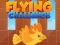 Žaidimas Flying Challenge internete