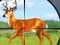 Žaidimas Wild Hunt Hunting Games 3D internete