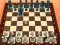 Žaidimas Chess Master 3D internete