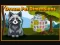 Žaidimas Dream Pet Dimensions internete