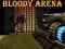 Žaidimas Bloody Arena internete