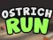 Žaidimas Ostrich Run internete