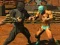 Žaidimas Fighter Legends Duo internete
