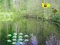 Žaidimas Sunlight Forest Adventure internete