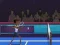 Žaidimas Badminton Brawl internete