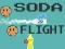 Žaidimas Soda Flight internete