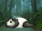 Žaidimas Wakeup The Sleeping Panda internete