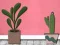 Žaidimas Find Houseplant internete
