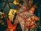 Žaidimas Christmas Stars Jigsaw internete