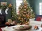 Žaidimas Gingerbread Gala Hunt for 100 Sweet Delights internete