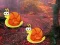 Žaidimas Snake Pair Escape internete