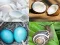 Žaidimas 4 Pics 1 Word Game internete