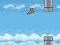 Žaidimas Flappy Cat internete