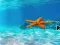 Žaidimas Escape From Underwater Starfish internete