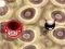 Žaidimas Bouncing Blob internete