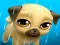 Žaidimas My Virtual Pet Louie the Pug internete