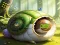 Žaidimas Rescue The Fantasy Snail internete