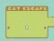 Žaidimas Cat Escape internete