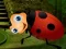 Žaidimas Rescue The Couple Bug internete
