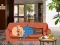Žaidimas Wakeup The Grandpa internete