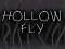 Žaidimas Hollow Fly internete