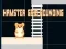 Žaidimas Hamster grid rounding internete