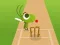 Žaidimas Doodle Cricket internete