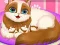 Žaidimas Cute Kitty Pregnant internete