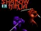 Žaidimas Shadow of the Ninja internete