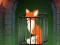 Žaidimas Fox in the Forgotten Ruins internete