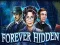 Žaidimas Forever Hidden internete